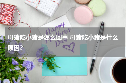 母猪吃小猪是怎么回事 母猪吃小猪是什么原因?