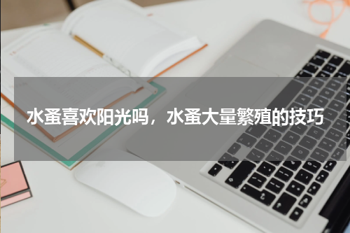 水蚤喜欢阳光吗，水蚤大量繁殖的技巧