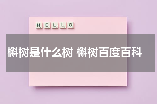 槲树是什么树 槲树百度百科