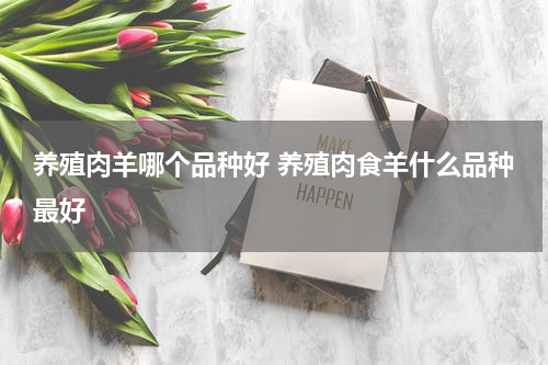 养殖肉羊哪个品种好 养殖肉食羊什么品种最好