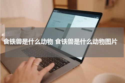 食铁兽是什么动物 食铁兽是什么动物图片