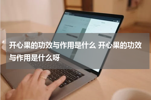 开心果的功效与作用是什么 开心果的功效与作用是什么呀