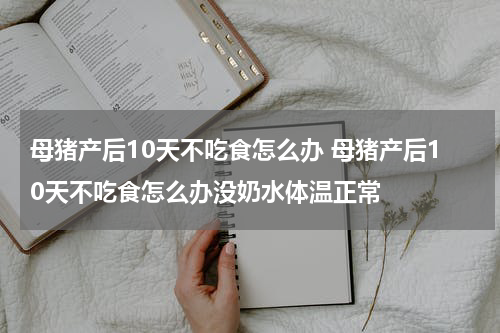 母猪产后10天不吃食怎么办 母猪产后10天不吃食怎么办没奶水体温正常
