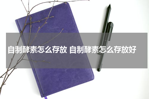 自制酵素怎么存放 自制酵素怎么存放好