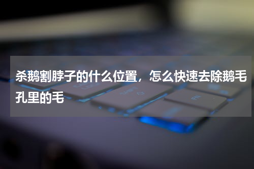杀鹅割脖子的什么位置，怎么快速去除鹅毛孔里的毛