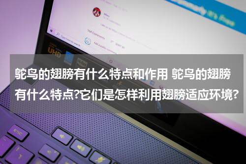 鸵鸟的翅膀有什么特点和作用 鸵鸟的翅膀有什么特点?它们是怎样利用翅膀适应环境?
