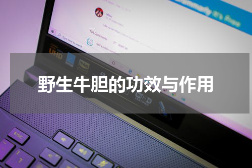 野生牛胆的功效与作用