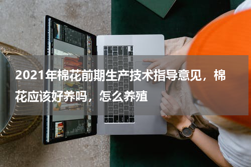 2021年棉花前期生产技术指导意见，棉花应该好养吗，怎么养殖