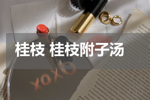 桂枝 桂枝附子汤