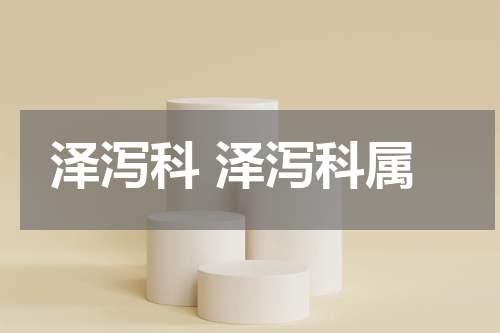 泽泻科 泽泻科属