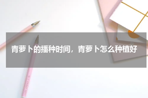 青萝卜的播种时间，青萝卜怎么种植好
