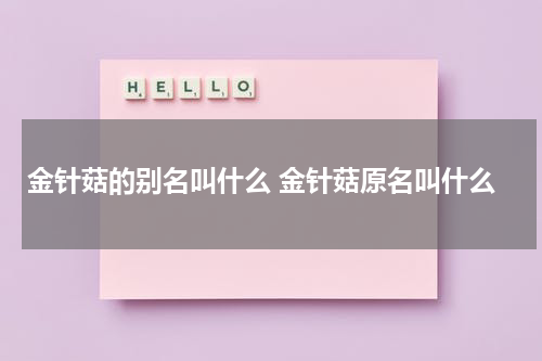 金针菇的别名叫什么 金针菇原名叫什么