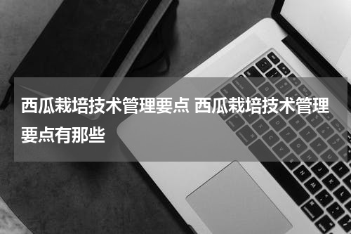 西瓜栽培技术管理要点 西瓜栽培技术管理要点有那些