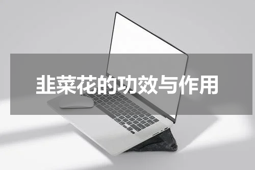 韭菜花的功效与作用
