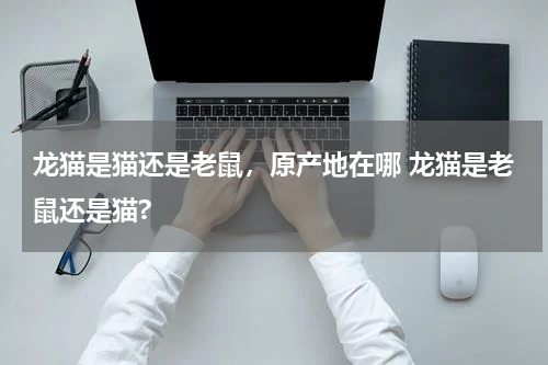 龙猫是猫还是老鼠，原产地在哪 龙猫是老鼠还是猫?