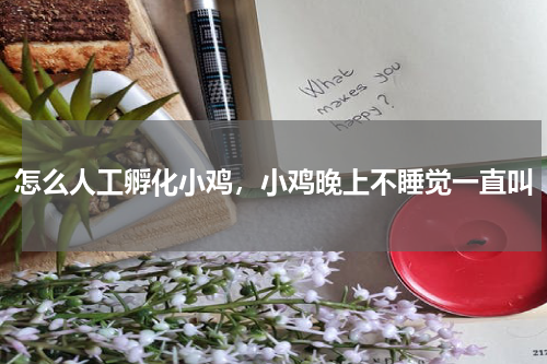 怎么人工孵化小鸡，小鸡晚上不睡觉一直叫