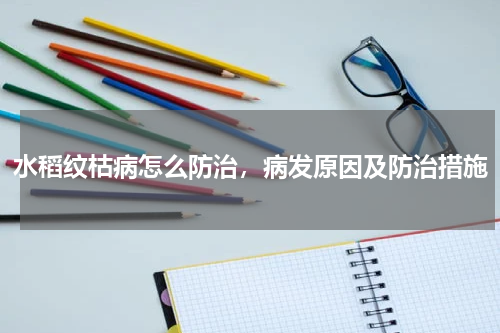 水稻纹枯病怎么防治，病发原因及防治措施