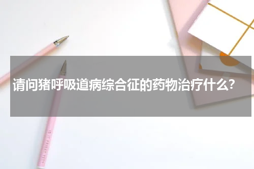 请问猪呼吸道病综合征的药物治疗什么？