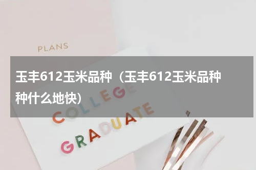 玉丰612玉米品种（玉丰612玉米品种种什么地快）