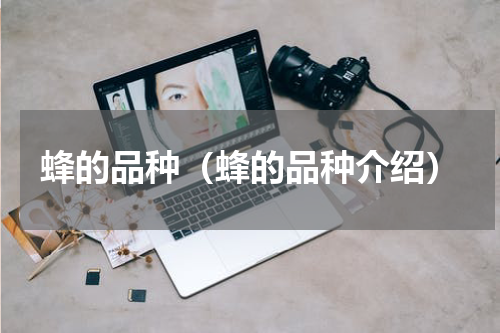 蜂的品种（蜂的品种介绍）