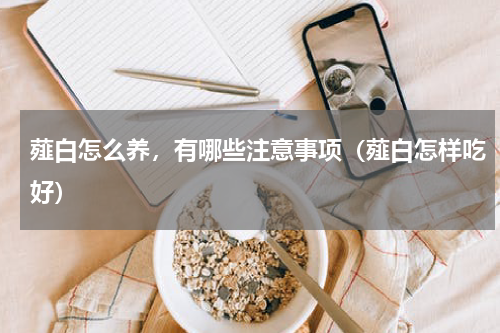 薤白怎么养，有哪些注意事项（薤白怎样吃好）