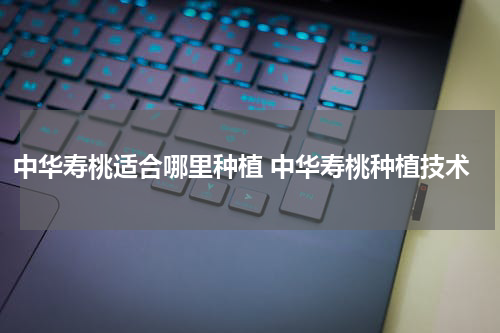 中华寿桃适合哪里种植 中华寿桃种植技术