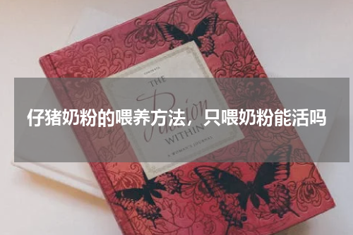 仔猪奶粉的喂养方法，只喂奶粉能活吗