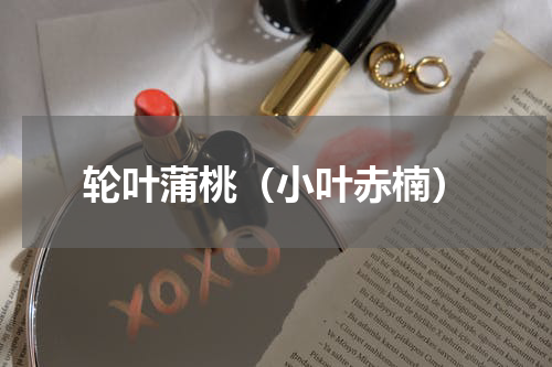 轮叶蒲桃（小叶赤楠）