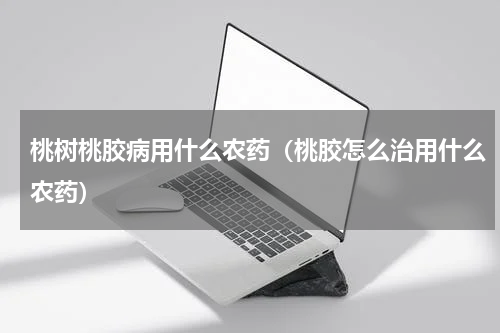 桃树桃胶病用什么农药（桃胶怎么治用什么农药）