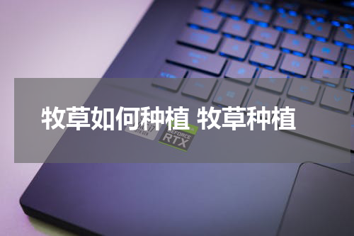 牧草如何种植 牧草种植