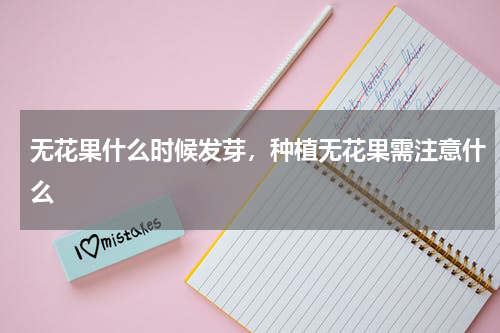 无花果什么时候发芽，种植无花果需注意什么
