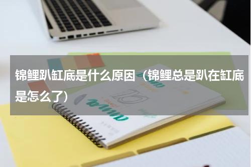 锦鲤趴缸底是什么原因（锦鲤总是趴在缸底是怎么了）