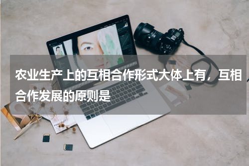 农业生产上的互相合作形式大体上有，互相合作发展的原则是