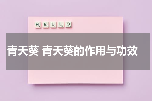 青天葵 青天葵的作用与功效