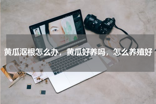 黄瓜沤根怎么办，黄瓜好养吗，怎么养殖好