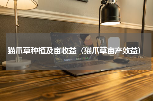 猫爪草种植及亩收益（猫爪草亩产效益）