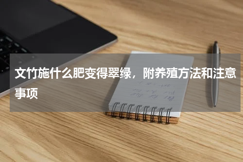 文竹施什么肥变得翠绿，附养殖方法和注意事项