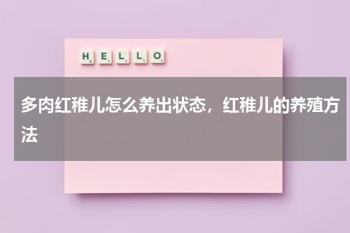 多肉红稚儿怎么养出状态，红稚儿的养殖方法
