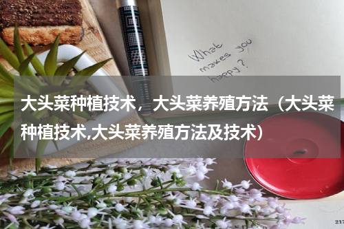 大头菜种植技术，大头菜养殖方法（大头菜种植技术,大头菜养殖方法及技术）