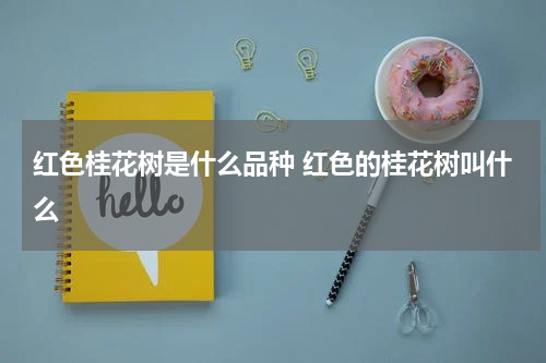 红色桂花树是什么品种 红色的桂花树叫什么
