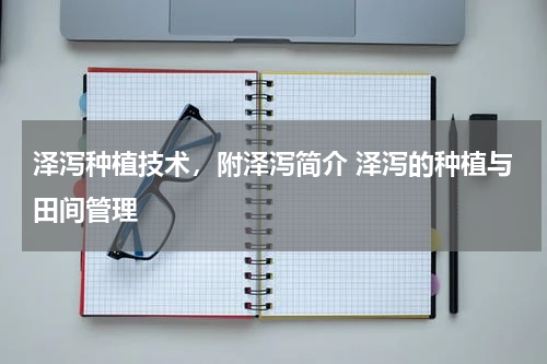 泽泻种植技术，附泽泻简介 泽泻的种植与田间管理