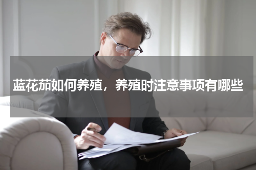 蓝花茄如何养殖，养殖时注意事项有哪些