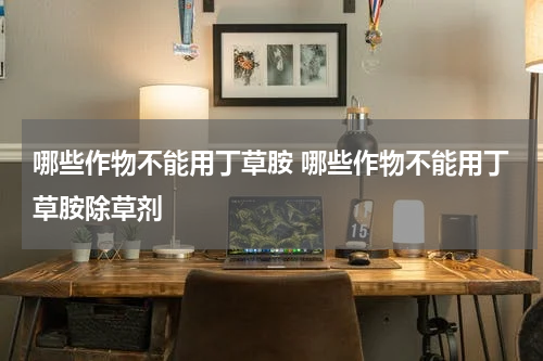 哪些作物不能用丁草胺 哪些作物不能用丁草胺除草剂