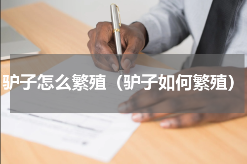 驴子怎么繁殖（驴子如何繁殖）