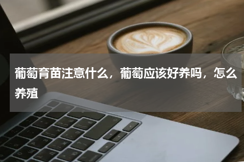 葡萄育苗注意什么，葡萄应该好养吗，怎么养殖