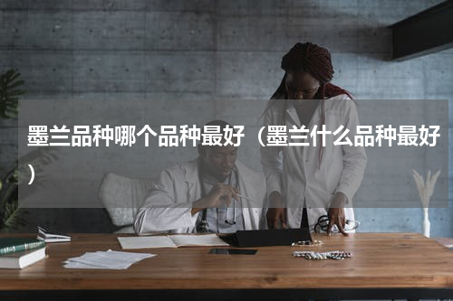 墨兰品种哪个品种最好（墨兰什么品种最好）
