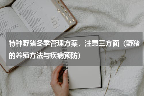 特种野猪冬季管理方案，注意三方面（野猪的养殖方法与疾病预防）