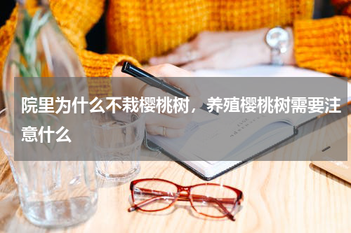 院里为什么不栽樱桃树，养殖樱桃树需要注意什么