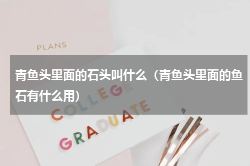 青鱼头里面的石头叫什么（青鱼头里面的鱼石有什么用）