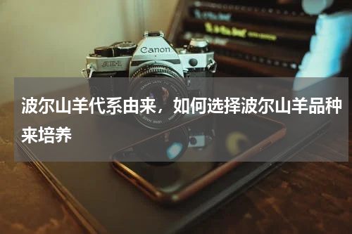 波尔山羊代系由来，如何选择波尔山羊品种来培养